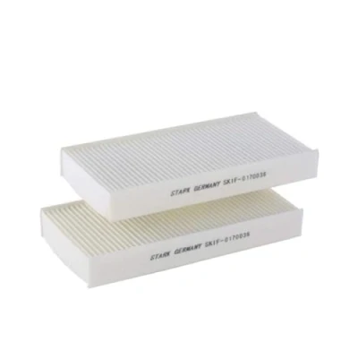 Abbildung von STARK SKIF 0170036 Filter, Innenraumluft Staubfilter, Pollenfilter, Mikrofilter
