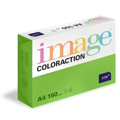 Abbildung von Image Coloraction Java farbiges Kopierpapier DIN A4, 210 x 297 mm, 160 g/m² buntes, holzfreies Druckerpapier für Kopierer 250 Blatt Maigrün