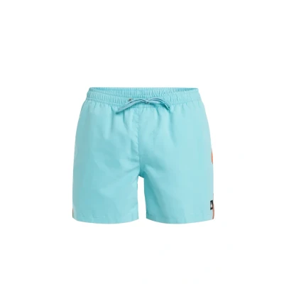 Abbildung von Quiksilver Everyday Beach Badeshorts, Herren, Größe: XL, Bha0
