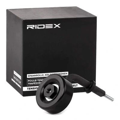 Abbildung von RIDEX 310T0042 Spannrolle mit Halter BMW: 5 Limousine, 3 Touring, OPEL: Omega B Caravan, LAND ROVER: Range Rover