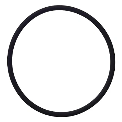 Abbildung von AJUSA 16091800 Dichtring, Lader