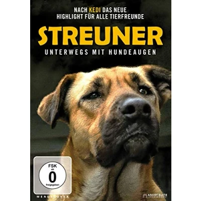 Abbildung von Streuner Unterwegs mit Hundeaugen