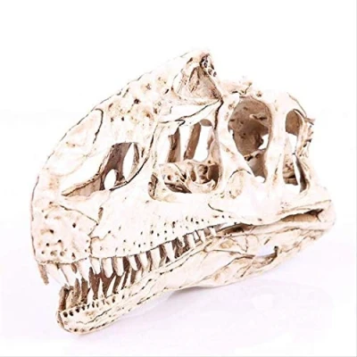 Abbildung von LISAQ Halloween Harz Monolophosaurus Schädel Skelett Kopf Statue Handwerk Dinosaurier Statuen für die Dekoration Wohnkultur Figuren Skulptur