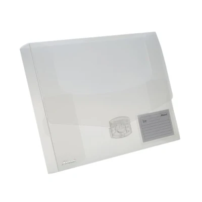 Abbildung von Rexel 2102029 Dokumentenbox ICE, PP, A4, 40 mm, 1 Stück, klar
