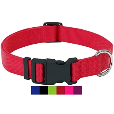 Abbildung von DEY Premium Hundehalsband Nylon Verstellbar für Kleine u. Große Hunde viele Farben Größen Hund Katze Welpe Halsbänder Katzen Halsband Welpen Rot, XS