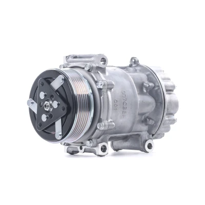 Abbildung von RIDEX 447K0498 Kompressor 7v16 12 R 134a FIAT: Scudo II, II Kastenwagen, PEUGEOT: 807, Expert Tepee, CITROËN: C8, Jumpy MPV