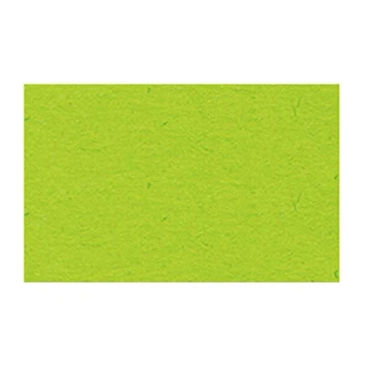 Abbildung von Ludwig Bähr Tonpapier 130g/qm A4 VE=100 Blatt hellgrün