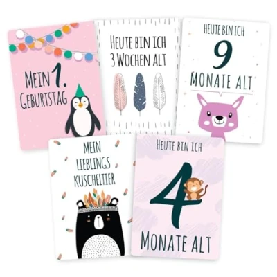 Abbildung von Cozy Racoon 40 Baby Meilenstein Karten für Mädchen mit hochwertiger Verpackung Meilensteinkarten als Geschenk zur Geburt, Babyparty, Schwangerschaft