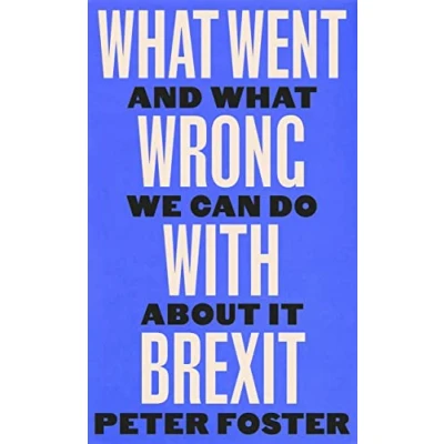 Abbildung von What Went Wrong With Brexit: And We Can Do About It