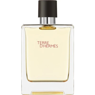 Abbildung von Hermès Terre D&#039;Hermès Eau de Toilette 100 ml