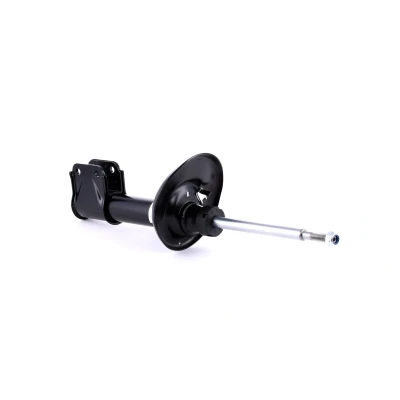 Abbildung von BILSTEIN B4 OE Replacement 22 226723 Stoßdämpfer Vorderachse rechts Gasdruck Zweirohr Federbein oben Stift, unten Schelle CITROËN: Berlingo II