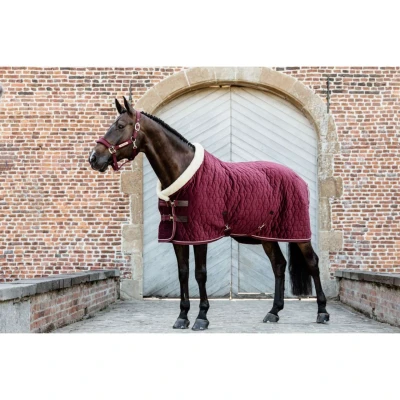 Abbildung von Kentucky Showdecke Velvet 160g Bordeaux 160/213 Agradi.deVerkauft von Agradi