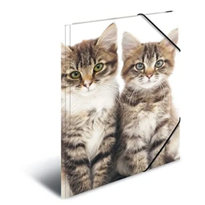 Abbildung von HERMA 7138 Sammelmappe A4 Tiere Katzen, Kinder Eckspanner Mappe aus Kunststoff mit Innendruck &amp; Gummizug, stabile Einschlagmappe Plastik für Jungen Mädchen