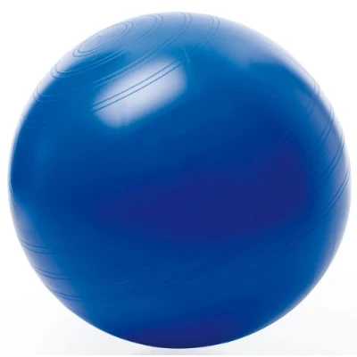Abbildung von Togu Sitzball ABS 408664 kein Wegrollen 65cm Größe L blau