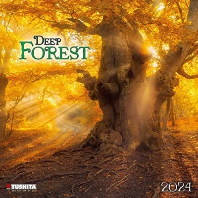 Abbildung von Deep Forest 2024: Kalender 2024 (Wonderful World)