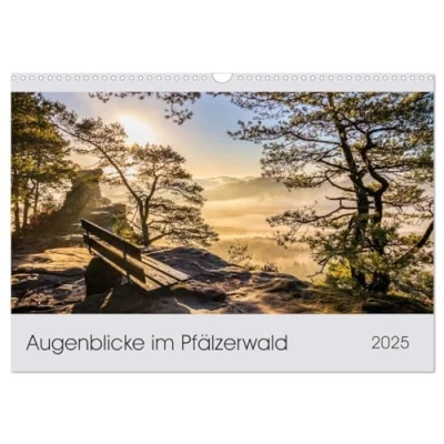 Abbildung von Augenblicke im Pfälzerwald (Wandkalender 2025 DIN A3 quer), CALVENDO Monatskalender