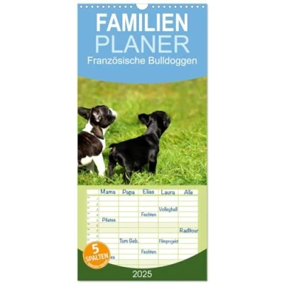 Abbildung von Familienplaner 2025 Französische Bulldoggen mit 5 Spalten (Wandkalender, 21 cm x 45 cm), CALVENDO