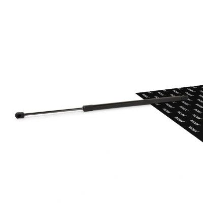Abbildung von RIDEX 219G0155 Heckklappendämpfer 660 627 BMW: 3 Compact