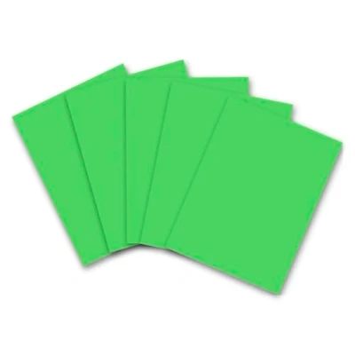 Abbildung von Clairefontaine 93825C Packung mit 25 Bögen in Neonfarben, 60x80cm, 90g, Wiesegrün