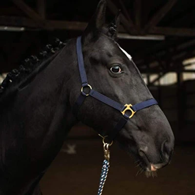 Abbildung von Halfter für Pferd Warmblut, Vollblut, Kaltblut Stallhalfter, Weidehalfter, 2 Fach verstellbar an Kinnriemen und Genickstück, sicher &amp; reißfest (Dunkelblau, Vollblut (Cob))