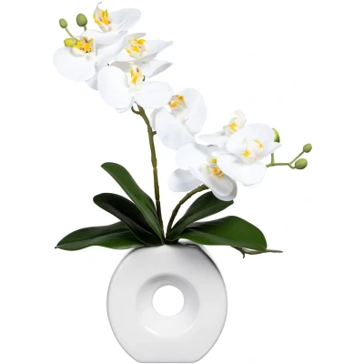 Abbildung von Kunstorchidee Phalaenopsis Orchidee Phalaenopsis, Creativ green, Höhe 35 cm, in Keramikvase