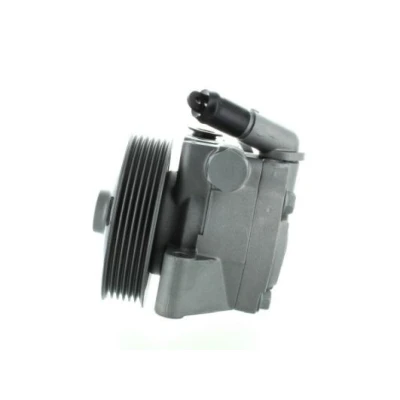 Abbildung von SPIDAN 52597 Hydraulikpumpe hydraulisch 6 107 FORD: S Max Mk1, MONDEO 4 Turnier, Galaxy Mk2 MPV
