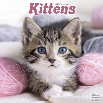 Abbildung von Kittens Kätzchen 2025 16 Monatskalender: Original Avonside Kalender [Mehrsprachig] [Kalender] (Wall Kalender)