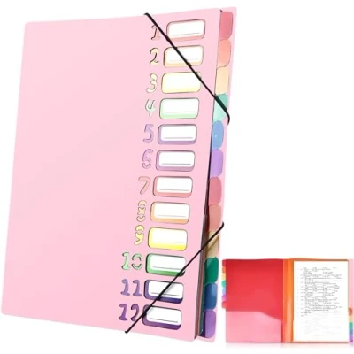 Abbildung von Delamiya Dokumentenmappe A4, Tragbar Fächermappe mit 12 Fächern, PP Kunststoff Ordnungsmappe Pultordner Gummizug, Wasserdicht, für Schule Bürobedarf