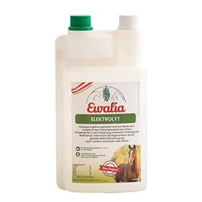 Abbildung von Ewalia Electrolyte 1L