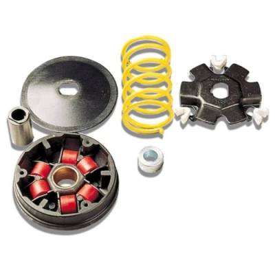 Abbildung von MALOSSI Variator Multivar, für Piaggio CIAO/PX/SI/