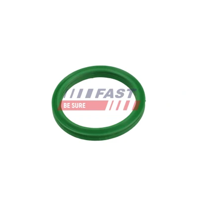 Abbildung von FAST FT49936 Dichtring, Ladeluftschlauch RENAULT: SCENIC 3, GRAND Captur, DACIA: Duster SUV, Lodgy, MERCEDES BENZ: B Klasse