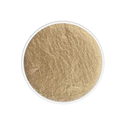 Abbildung von Kryolan Aquacolor Palettennachfüllung metallic, Farbauswahl:Gold