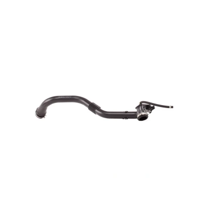 Abbildung von RIDEX 3314C0226 Ladeluftschlauch 54 Kunststoff mit Schlauchklemme RENAULT: GRAND SCENIC 2, Kangoo I Rapid,