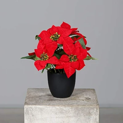 Abbildung von mucplants Künstlicher Weihnachtsstern Poinsettie Rot 29cm im schwarzen Kunststofftopf Kunstpflanze Dekopflanze