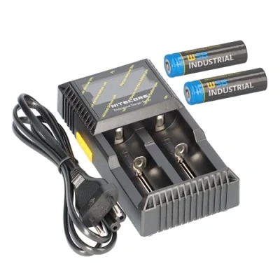 Abbildung von 2X Solar Mignon AA Akkus wiederaufladbare Batterien 3,2V 1,92Wh LiFePo4 Hochleistungs Akku Batterie speziell für Solarlampen Lichterkette Solarleuchte Leuchte + D2 Ladegerät