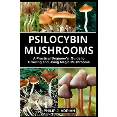 Abbildung von Psilocybin Mushrooms: A Practical Beginners Guide to Growing and Using Magic Mushrooms Indoors