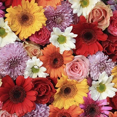 Abbildung von HOME FASHION Papierserviette 20 Servietten Gerbera 33x33cm, (20 St)