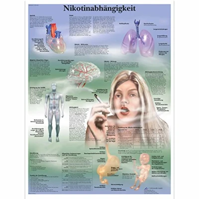 Abbildung von 3B Scientific Lehrtafel laminiert Nikotinabhängigkeit
