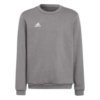 Abbildung von adidas Unisex Kinder Entrada 22 Sweat Top, Team Grey Four, 11 12 Years