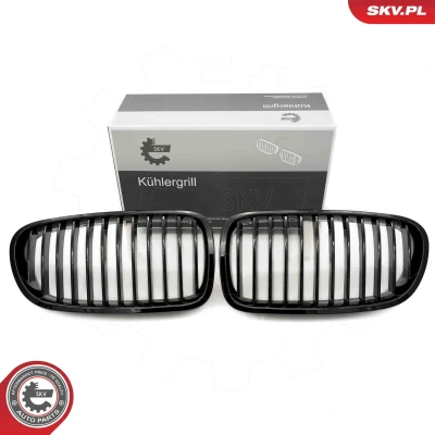 Abbildung von ESEN SKV 66SKV179 Kühlergrill glänzend, schwarz BMW: 5 Limousine, Touring