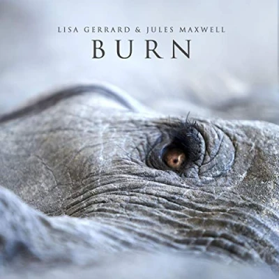 Abbildung von Burn (Limited Edition) [Vinyl LP]