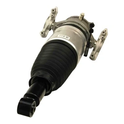 Abbildung von MAXGEAR 11 0795 Luftfederbein Hinterachse links
