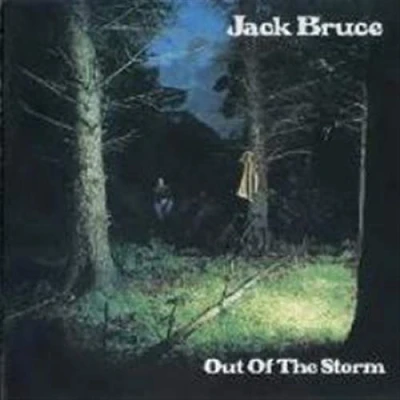 Abbildung von Out of the Storm