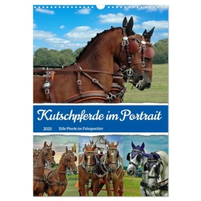 Abbildung von Kutschpferde im Portait (Wandkalender 2025 DIN A3 hoch), CALVENDO Monatskalender