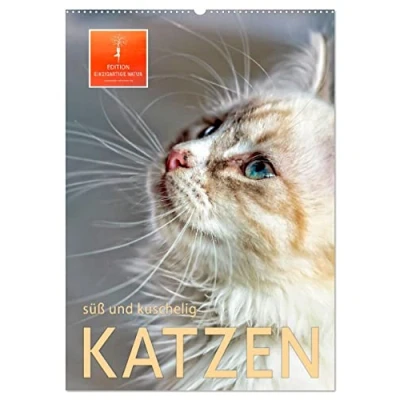 Abbildung von Katzen süß und kuschelig (Wandkalender 2025 DIN A2 hoch), CALVENDO Monatskalender