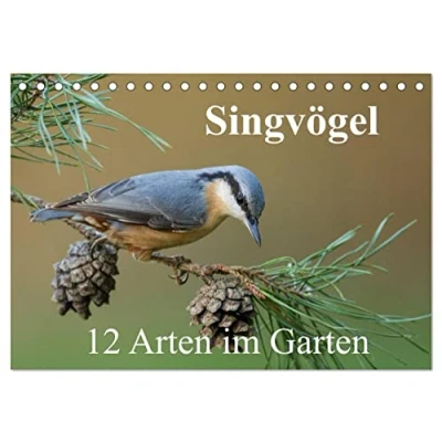Abbildung von Singvögel 12 Arten im Garten (Tischkalender 2025 DIN A5 quer), CALVENDO Monatskalender