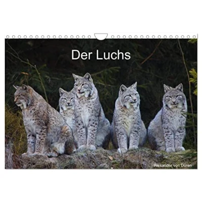 Abbildung von Der Luchs (Wandkalender 2025 DIN A4 quer), CALVENDO Monatskalender