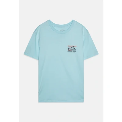 Abbildung von Billabong PALM Springs Unisex Tshirt print für Kinder, Größe: 123 128, Coastal blue