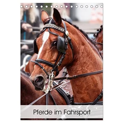 Abbildung von Pferde im Fahrsport (Tischkalender 2025 DIN A5 hoch), CALVENDO Monatskalender