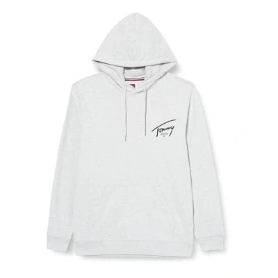 Abbildung von Tommy Jeans Entry Graphic Hoodie Unisex Sweatshirt, Größe: 2XL, Silver grey